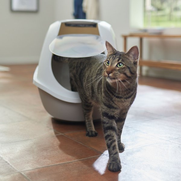 Hooded kitty litter outlet box