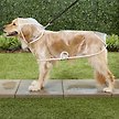 Show in main carousel: Frisco Lightweight Clear Vinyl Dog Raincoat, Large slide 6 of 8