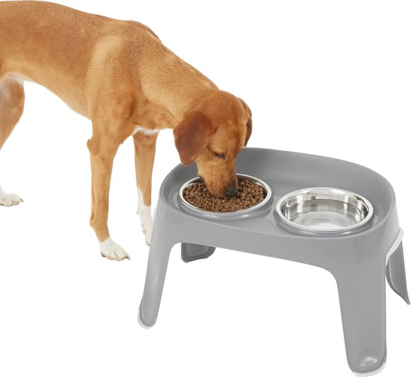 Chewy dog sales food bowls