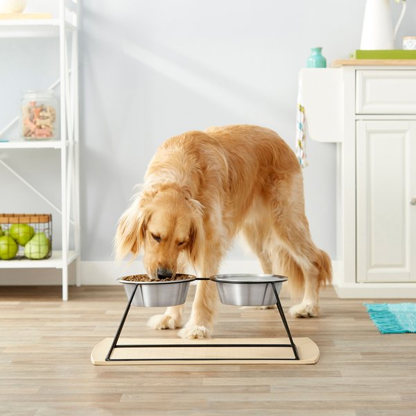 Show full view: Frisco Pyramid Elevated Dog & Cat Diner, Large: 8 cup slide 4 of 6