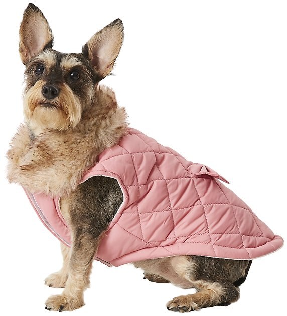 FRISCO Mediumweight Aspen Insulated Quilted Dog & Cat Jacket with Bow