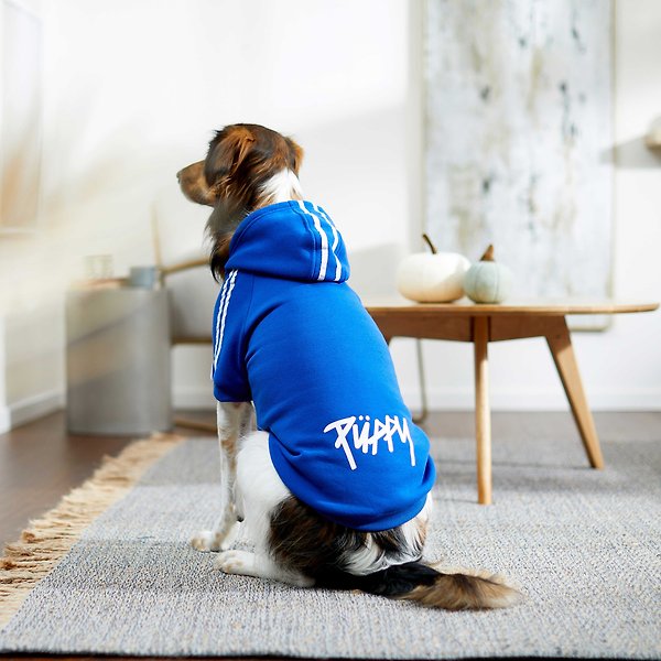 Show full view: Frisco Püppy Dog Athletic Hoodie, Blue, X-Large slide 6 of 10