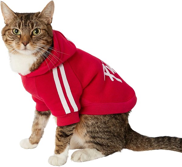 Show full view: Frisco Püppy Dog Athletic Hoodie, Red, Small slide 4 of 11