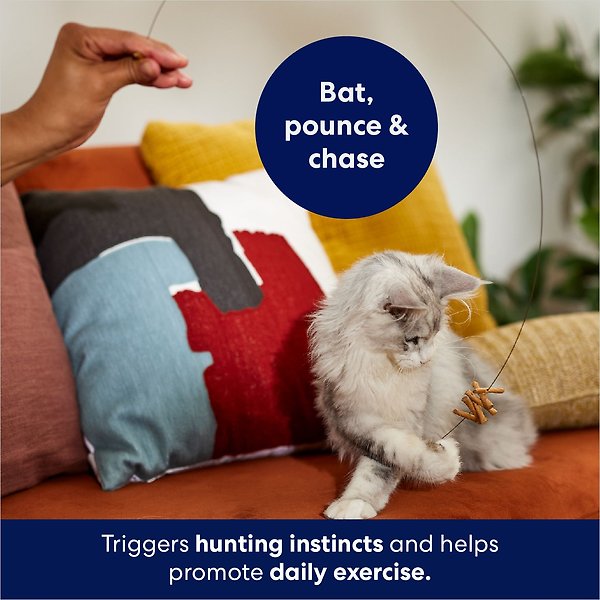 Show full view: Frisco Cardboard & Wire Teaser Cat Toy slide 3 of 5