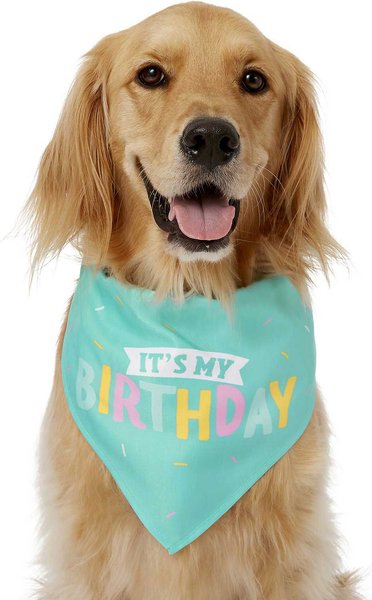 Show full view: Frisco Dog & Cat Birthday Bandana, Medium/Large slide 3 of 8