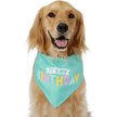 Show in main carousel: Frisco Dog & Cat Birthday Bandana, Medium/Large slide 3 of 8