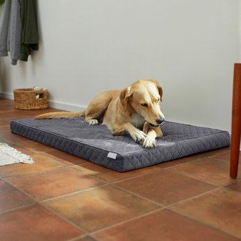 Dog Beds (Free shipping) | Chewy Canada