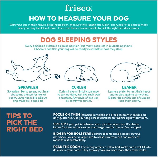 Show full view: Frisco Self Warming Bolster Round Kitten Bed, Brown slide 3 of 7