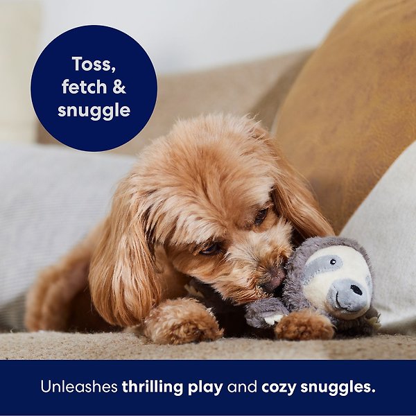 Show full view: Frisco Sloth Plush Squeaky Dog Toy, Small slide 5 of 7