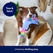 Show in main carousel: Frisco Unicorn Stuffing-Free Flat Plush Squeaky Dog Toy, Purple, Medium/Large slide 5 of 7