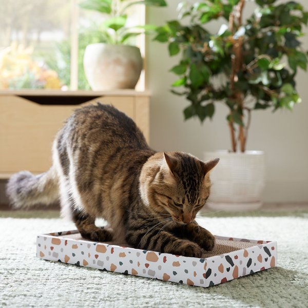 Show full view: Frisco Double-Wide Cat Scratcher Toy with Catnip, 1 count, Modern Terrazzo slide 3 of 5
