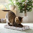 Show in main carousel: Frisco Double-Wide Cat Scratcher Toy with Catnip, 1 count, Modern Terrazzo slide 3 of 5