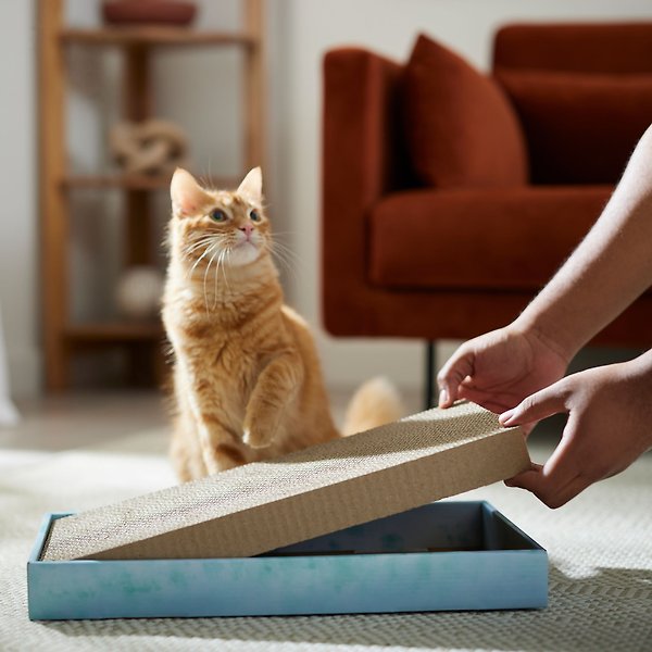 Show full view: Frisco Double-Wide Cat Scratcher Toy Refill with Catnip, 2 count slide 3 of 5