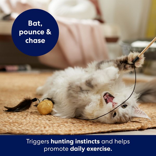 Show full view: Frisco Sparkle Ball Teaser Wand Cat Toy with Catnip slide 4 of 6