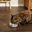 Show in main carousel: Frisco Stainless Steel Taper Non-Skid Cat Bowl, 1 cup, 1 count slide 6 of 9