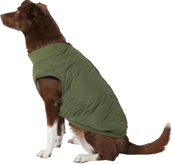 Frisco Lightweight Insulated Bomber Dog & Cat Jacket, Olive, Small slide 1 of 5