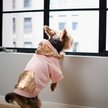 Show in main carousel: Frisco Sequin Dog & Cat Hoodie, Pink, Large slide 7 of 8