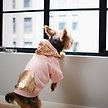 Show in main carousel: Frisco Sequin Dog & Cat Hoodie, Pink, Medium slide 7 of 8