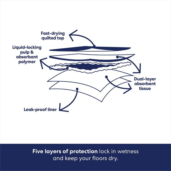 Show full view: Frisco Non-Skid Ultra Premium Dog Training & Potty Pads, 22 x 23-in, Unscented, 300 count slide 5 of 8