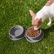 Show in main carousel: Frisco Travel Collapsible Silicone Dog & Cat Bowl, Gray, Small: 1.5 cup slide 7 of 8