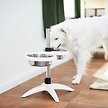 Show in main carousel: Frisco Adjustable Stainless Steel Double Elevated Dog Bowls, Large: 7 cup slide 7 of 8