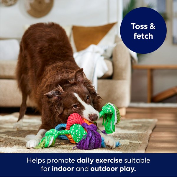 Show full view: Frisco Fetch Colorful Ball Knot Rope Dog Toy, Large/X-Large slide 3 of 5