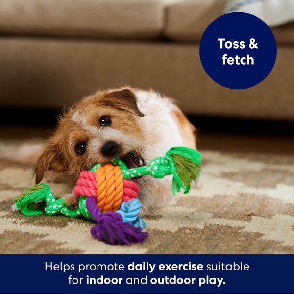 Show full view: Frisco Fetch Colorful Ball Knot Rope Dog Toy, Medium/Large slide 3 of 5