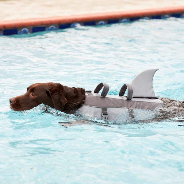 Show full view: Frisco Shark Dog Life Jacket, Gray, X-Small slide 9 of 11