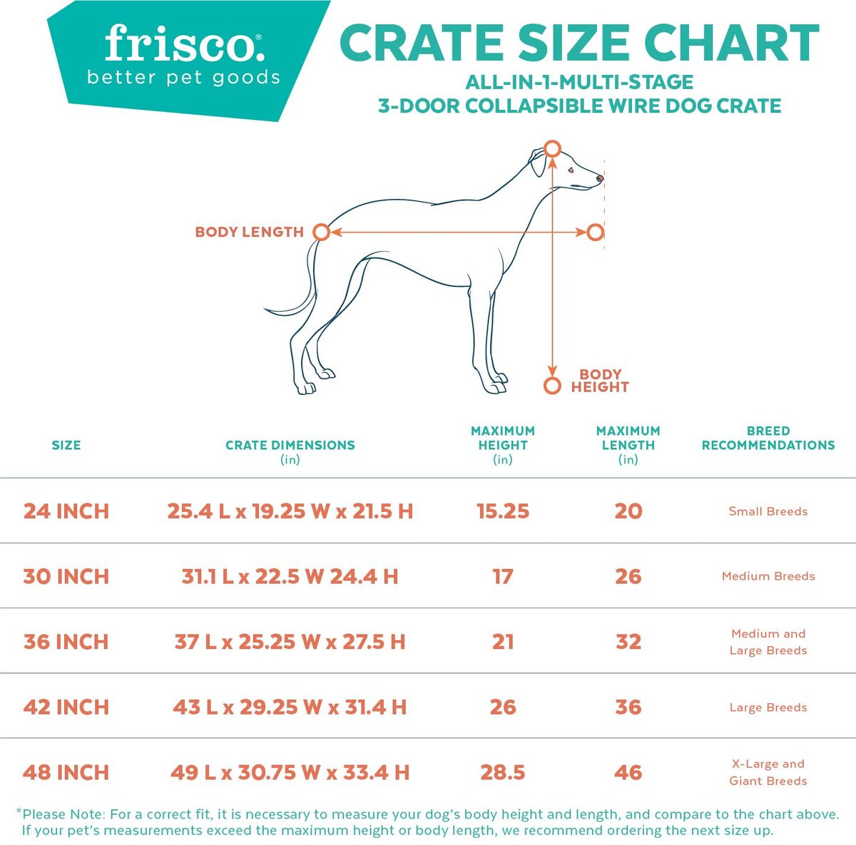 150m straight line Gallop - 12V Entry Model- All Dog Breeds