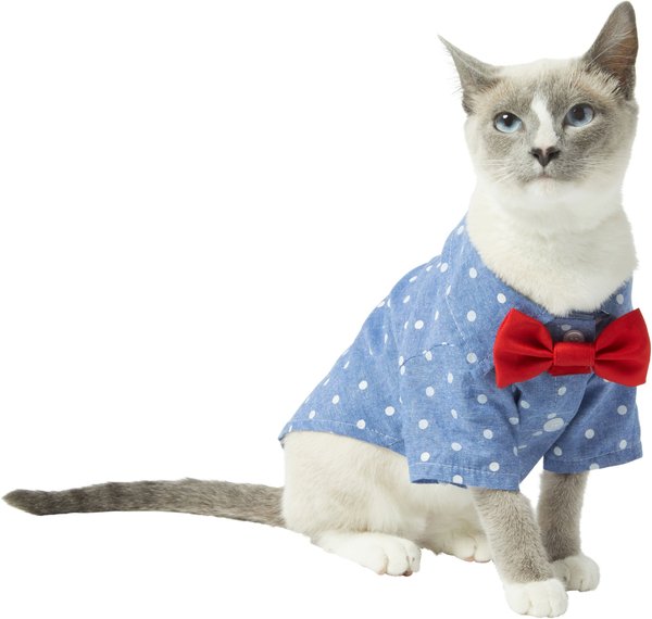 Show full view: Frisco Polka Dot Chambray Dog & Cat Button Up Shirt, Small slide 3 of 9