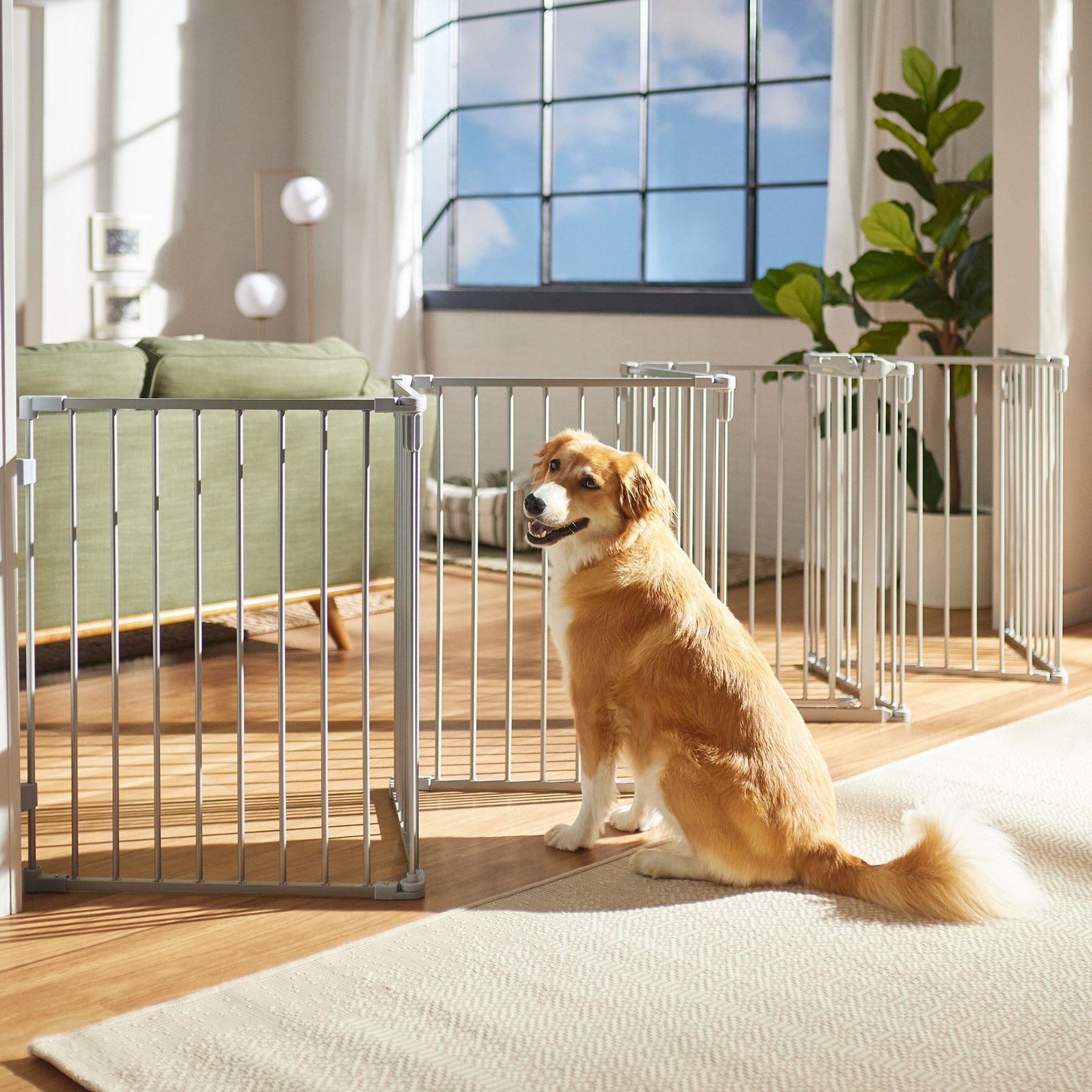 FRISCO Steel 8-Panel Configurable Dog Gate and Playpen, 30-in