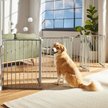 Show in main carousel: Frisco Steel 8-Panel Configurable Dog Gate and Playpen, 30-in, Grey slide 1 of 9