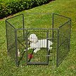 Show in main carousel: Frisco Ultimate Outdoor Heavy Duty Steel Metal Playpen, 1 count slide 1 of 9