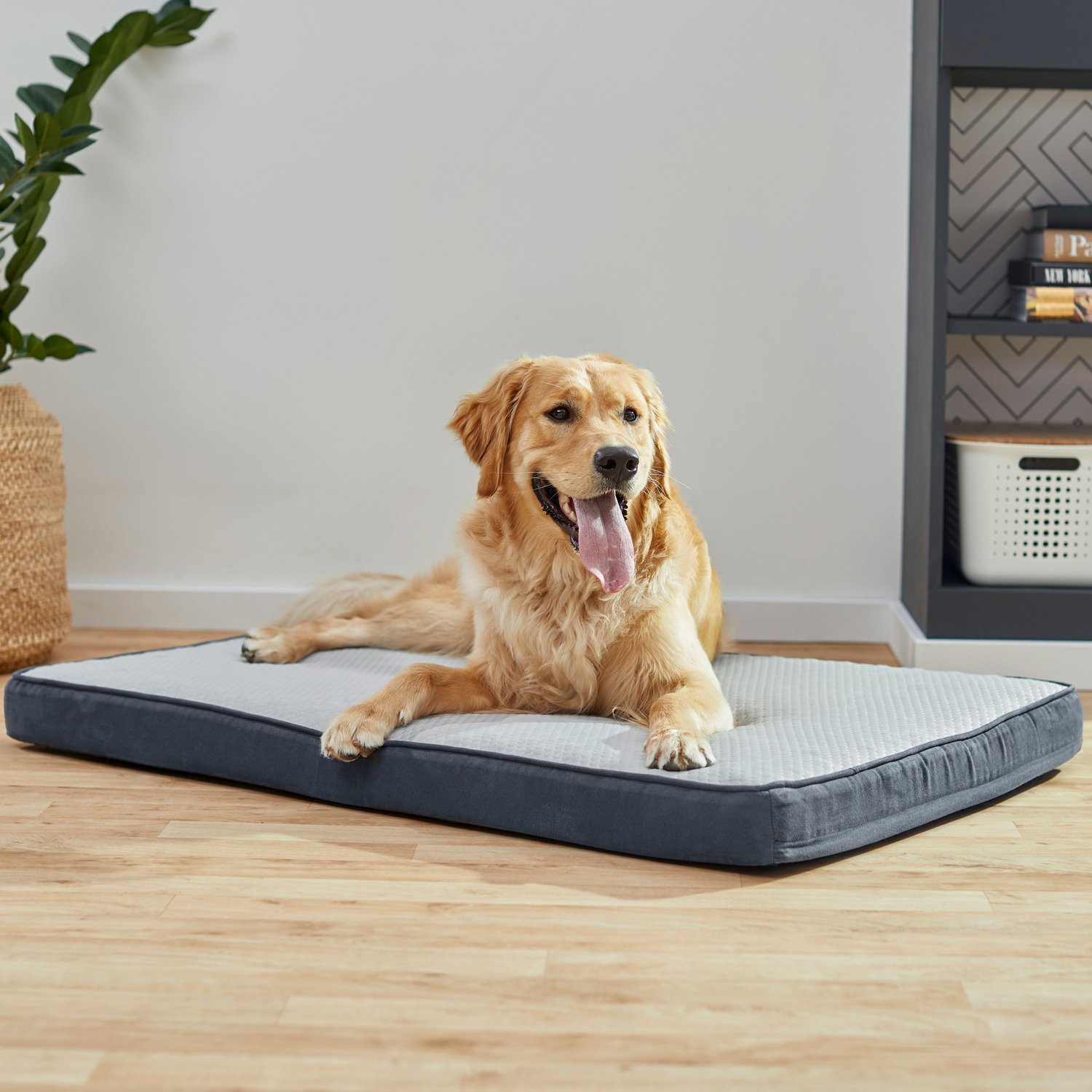 Dog ate hotsell cooling mat