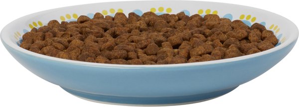 Show full view: Frisco Kaleidoscope Pattern Non-skid Ceramic Cat Dish, Blue, 0.5 cup, 1 count slide 4 of 7