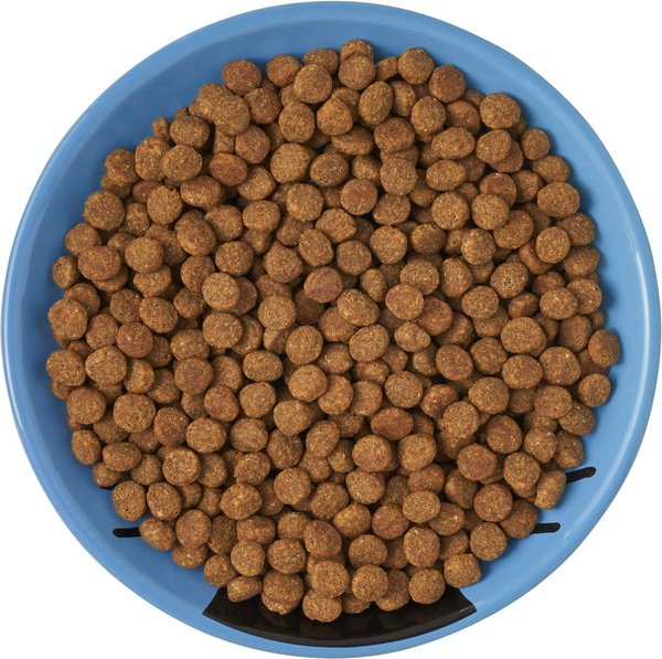 Show full view: Frisco Cat Face Non-skid Ceramic Cat Dish, Blue, 0.5 cup, 1 count slide 6 of 8