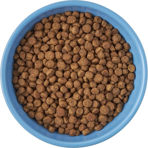 Show full view: Frisco Cat Face Non-skid Ceramic Cat Bowl, Blue, 1 cup slide 4 of 6