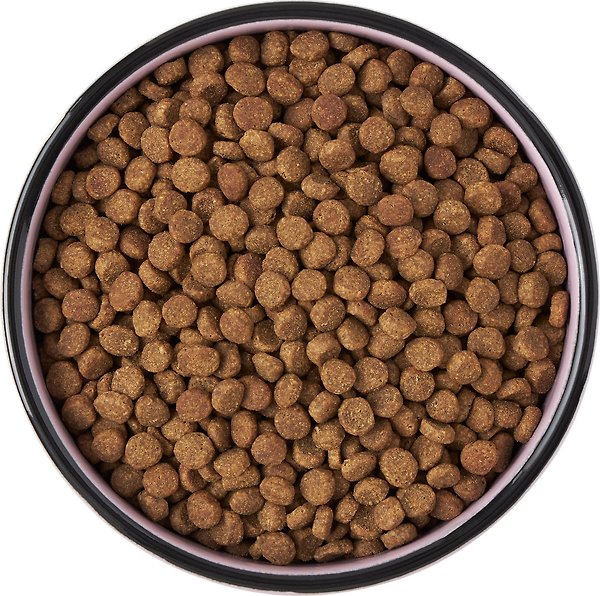 Show full view: Frisco Paris Non-skid Ceramic Cat Dish, 1.5 cup slide 6 of 8