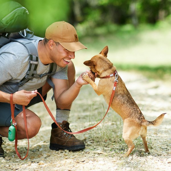 Show full view: Frisco Outdoor Heathered Nylon Leash, Mars Red, LG - Length: 6-ft, Width: 1-in slide 3 of 7