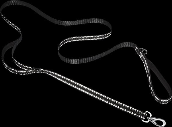 Show full view: Frisco Outdoor Nylon Reflective Comfort Padded Dog Leash, Sapphire Navy, SM - Length: 6-ft, Width: 5/8-in slide 3 of 8