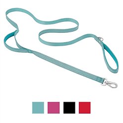 Frisco Outdoor Nylon Reflective Comfort Padded Dog Leash, Bayou Teal, SM - Length: 6-ft, Width: 5/8-in
