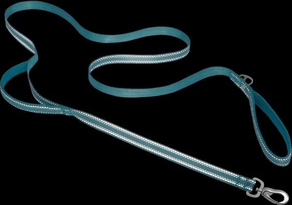 Show full view: Frisco Outdoor Nylon Reflective Comfort Padded Dog Leash, Bayou Teal, SM - Length: 6-ft, Width: 5/8-in slide 3 of 8