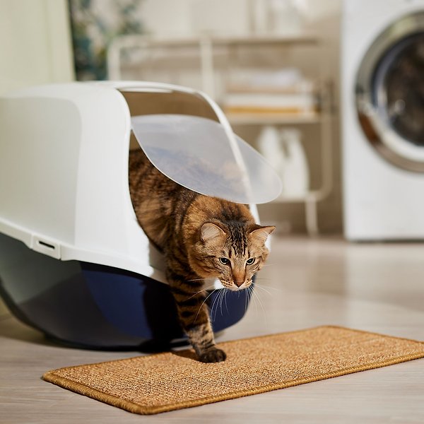 Show full view: Frisco Sisal Mat, Medium slide 4 of 6