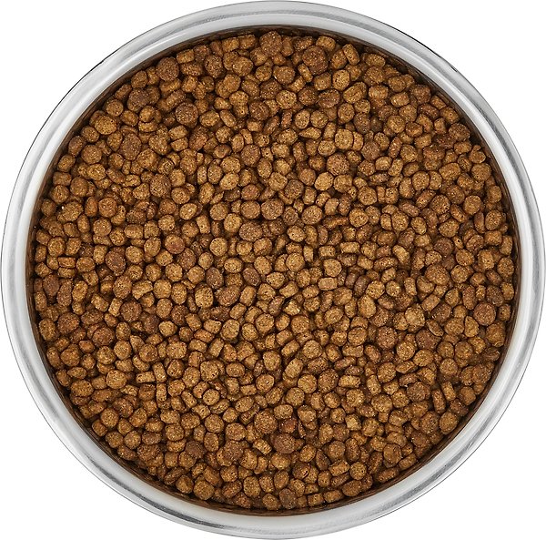 Show full view: Frisco Insulated Non-Skid Stainless Steel Dog & Cat Bowl, Stainless Steel, 6 cup, 1 count slide 5 of 8