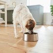 Show in main carousel: Frisco Insulated Non-Skid Stainless Steel Dog & Cat Bowl, Stainless Steel, 6 cup, 1 count slide 6 of 8