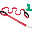 Show in main carousel: Frisco Traffic Leash with Padded Handles & Poop Bag Dispenser, Width: 1-in, Length: 6-ft, Red slide 1 of 8