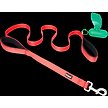 Show in main carousel: Frisco Traffic Leash with Padded Handles & Poop Bag Dispenser, Width: 1-in, Length: 6-ft, Red slide 5 of 8