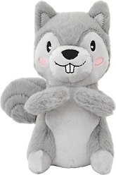 Frisco Camping Squirrel Plush Squeaky Dog Toy, Small/Medium
