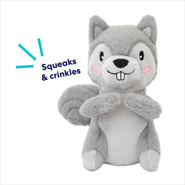 Show full view: Frisco Camping Squirrel Plush Squeaky Dog Toy, Small/Medium slide 3 of 7