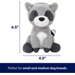 Show in main carousel: Frisco Camping Raccoon Plush Squeaky Dog Toy, Small/Medium slide 2 of 7